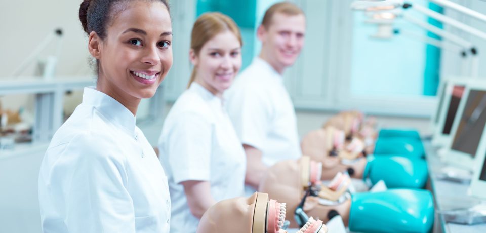 Programmes d&rsquo;études en dentisterie