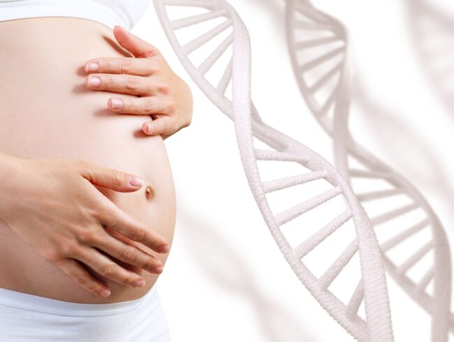 La découverte de nouveaux gènes pour les grossesses môlaires met en lumière leur incidence accrue chez les femmes âgées de 35 ans et plus
